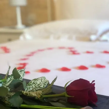 Nido Di Pietra-dimora In Centro 4*