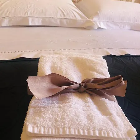 Nido Di Pietra-dimora In Centro Bed and Breakfast Αλμπερομπέλο